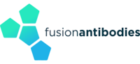 fusion antibodies